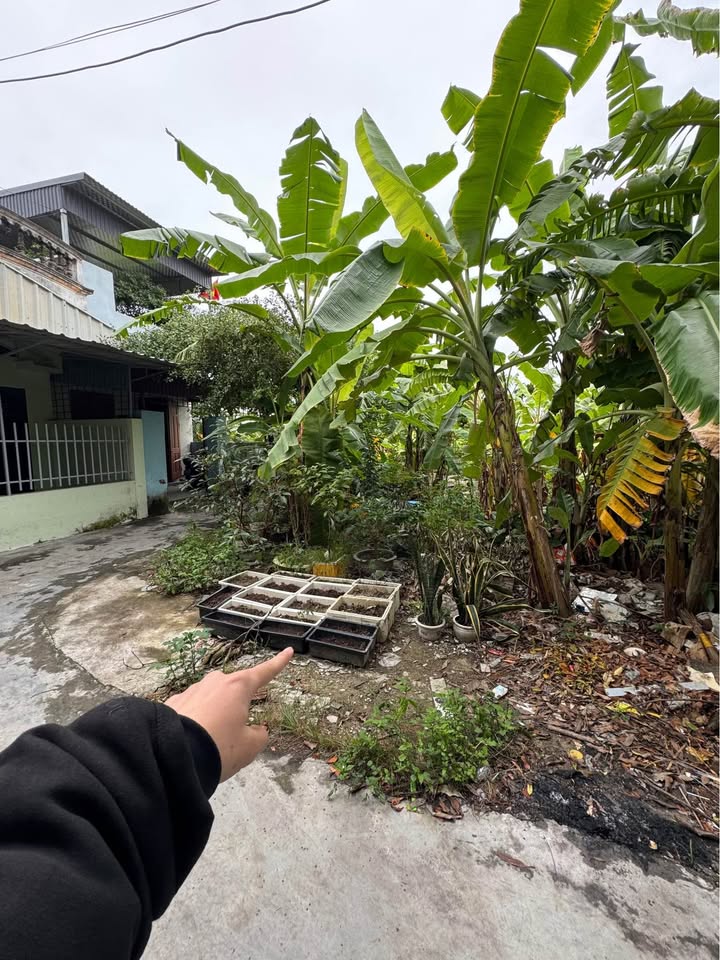 Nhà ở Hồng Bàng - 60m² giá chỉ 1 tỷ - Chính chủ bán gấp!