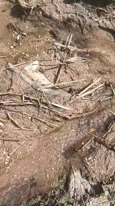 Đất nông nghiệp 2ha tại Đăk Tờ Lung, Kon Rẫy - Giá chỉ 500 triệu VND