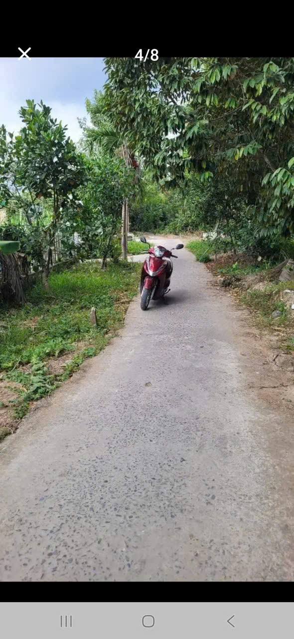 Đất vườn Tân Phú Thạnh, Châu Thành A, Hậu Giang 500m² giá 850 triệu - Cơ hội đầu tư tuyệt vời!