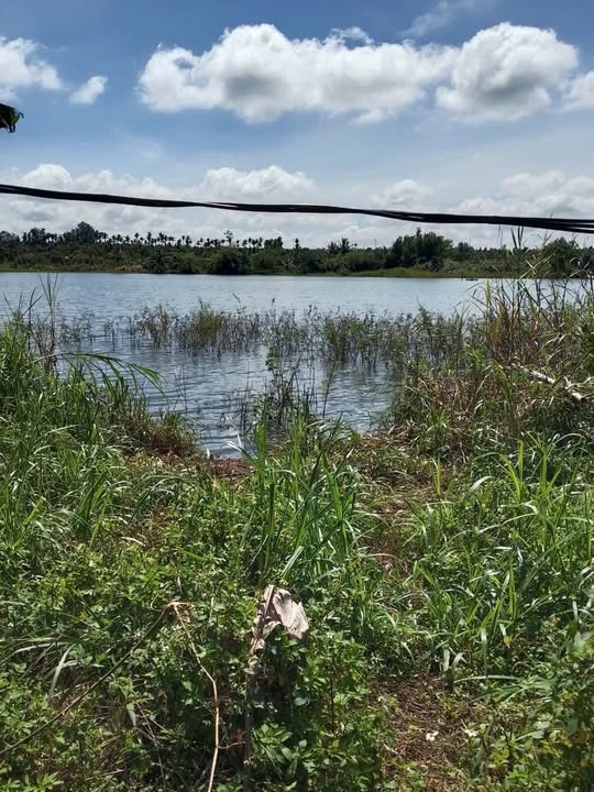 Đất nền Phú Xuân Krông Năng 1536m² giá 1.45 tỷ - View hồ tuyệt đẹp!