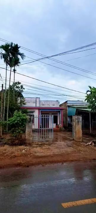 Nhà mặt tiền DT31 Krông Năng 510m² giá 3.199 tỷ - Kinh doanh đa ngành thuận lợi!