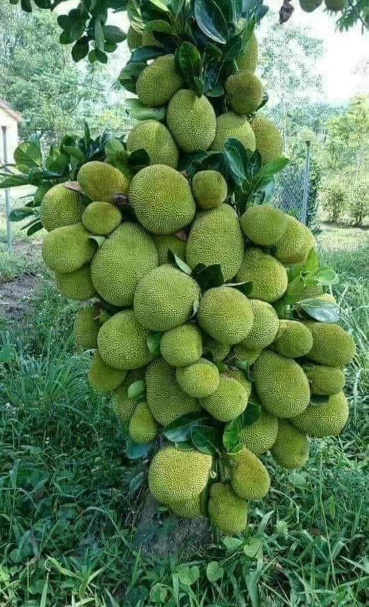 Đất nền 100m² Bảo Vinh chỉ 1.5 tỷ - Sổ riêng, xây dựng tự do!