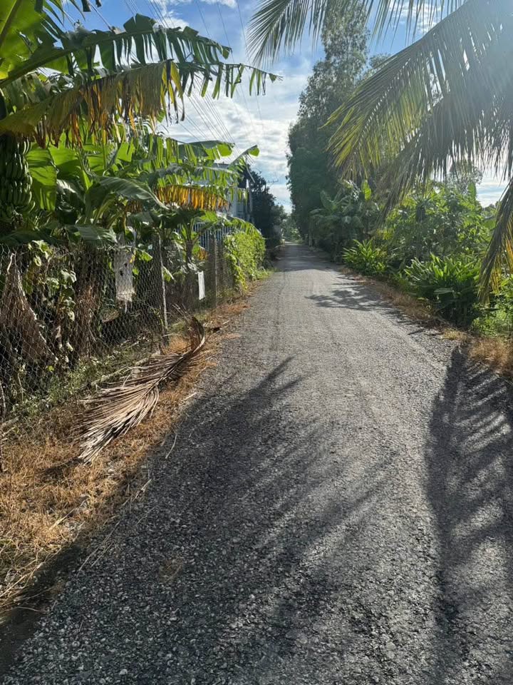 Đất mặt tiền Huỳnh Văn Thụ, Châu Đốc 998m² giá 1.3 tỷ - Cơ hội đầu tư hấp dẫn!