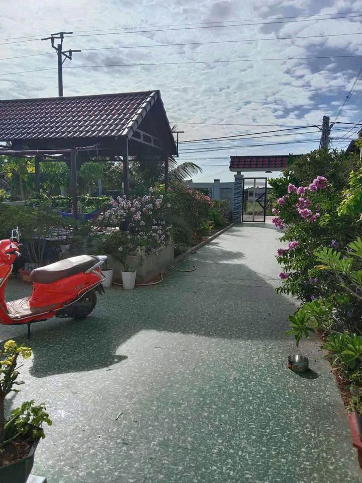 Nhà vườn 1500m² tại Ninh Phước - Gần Đồi Cát Nam Cương - Giá thỏa thuận!
