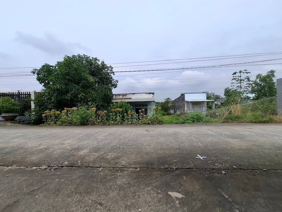 Đất nền Lương Bình, Bến Lức 513m² giá 2.7 tỷ - Pháp lý sổ hồng riêng!