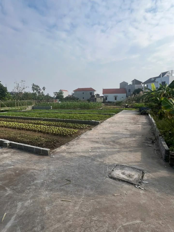 Đất nền Đại Áng Thanh Trì 80m² giá 5.5 tỷ - Siêu phẩm đầu tư tiềm năng!