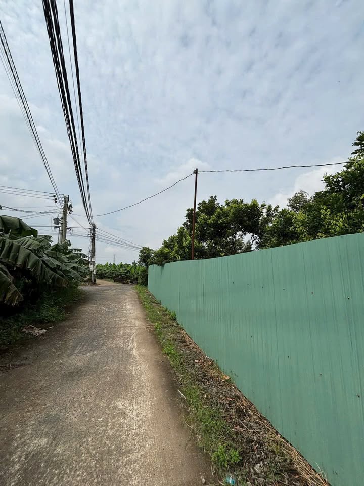 Đất sào ngộp Tây Hòa Trảng Bom 1000m² giá chỉ 900 triệu - Sổ đỏ chính chủ sẵn sàng giao dịch!