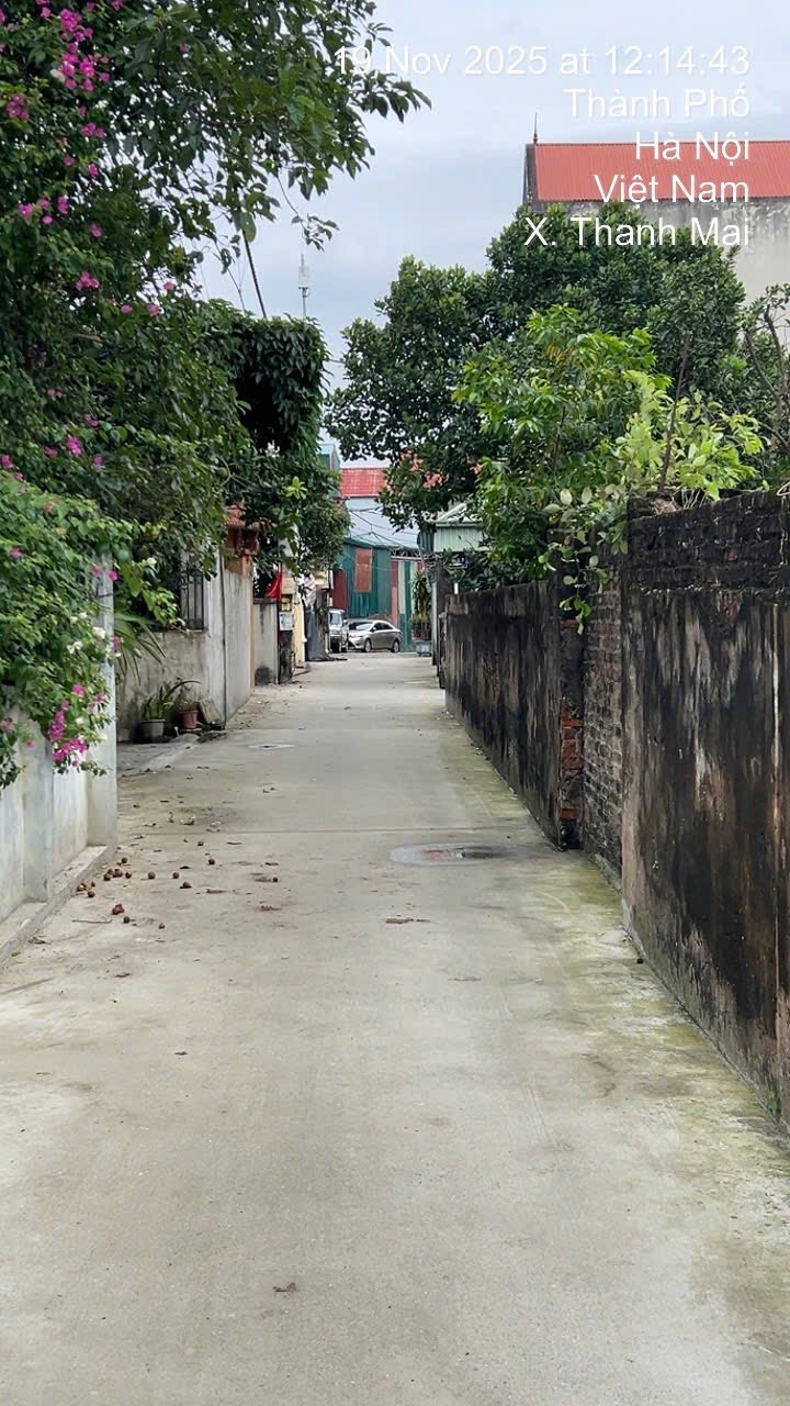 Đất nền thôn My Hạ, xã Thanh Mai, 56,2m² giá chỉ 5x triệu/m² - Đường ô tô vào tận cửa!