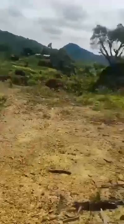 Đất vườn xã Yên Bài, Ba Vì 5800m² giá 17.34 tỷ - View cánh đồng tuyệt đẹp!