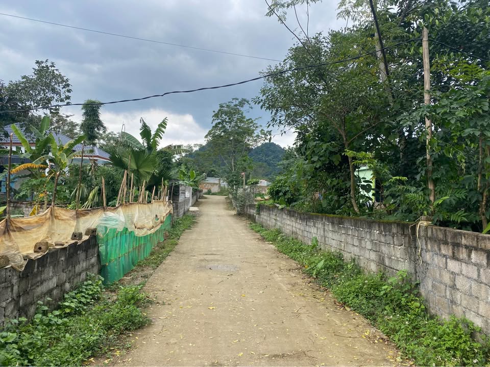 Đất nền thổ cư xã Cao Dương Lương Sơn 152m² giá 500 triệu - Sổ đỏ chính chủ, công chứng ngay!