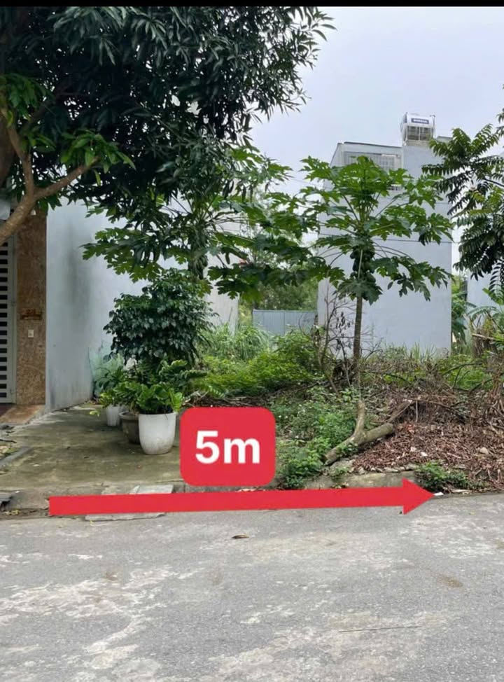 Đất nền Đông Thọ 85m² giá 4 tỷ - Đầu tư sinh lời ngay!