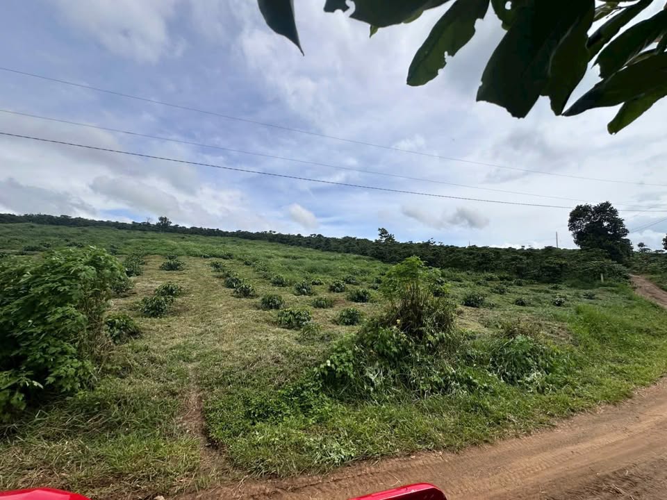 Đất nền đường Trạm điện Di Linh 1224m² - Cơ hội đầu tư hấp dẫn!