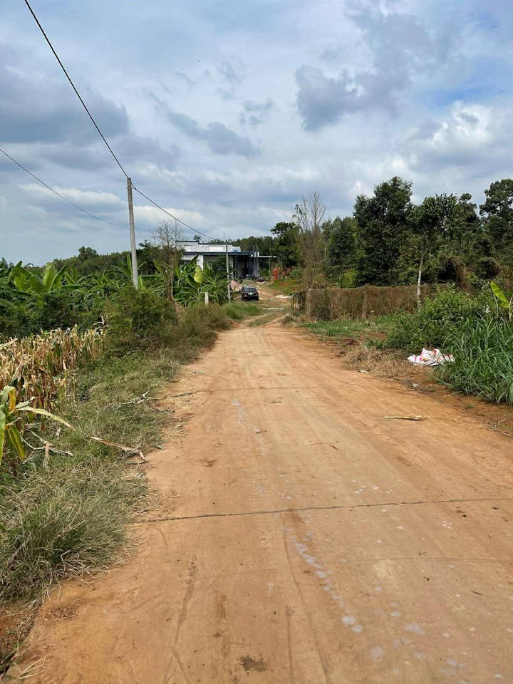 Đất nền Suối Nghệ, Châu Đức 300m² giá 900 triệu - Cơ hội đầu tư hấp dẫn!