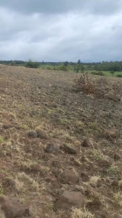 Đất Farm 4ha tại xã Ea H'Leo, Đắk Lắk giá 1.62 tỷ - Đầu tư sinh lời bền vững!