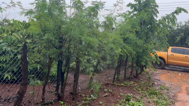 Đất ở xã Ia Le, Chư Pưh, Gia Lai 395m² giá 1.22 tỷ - Đầu tư sinh lời