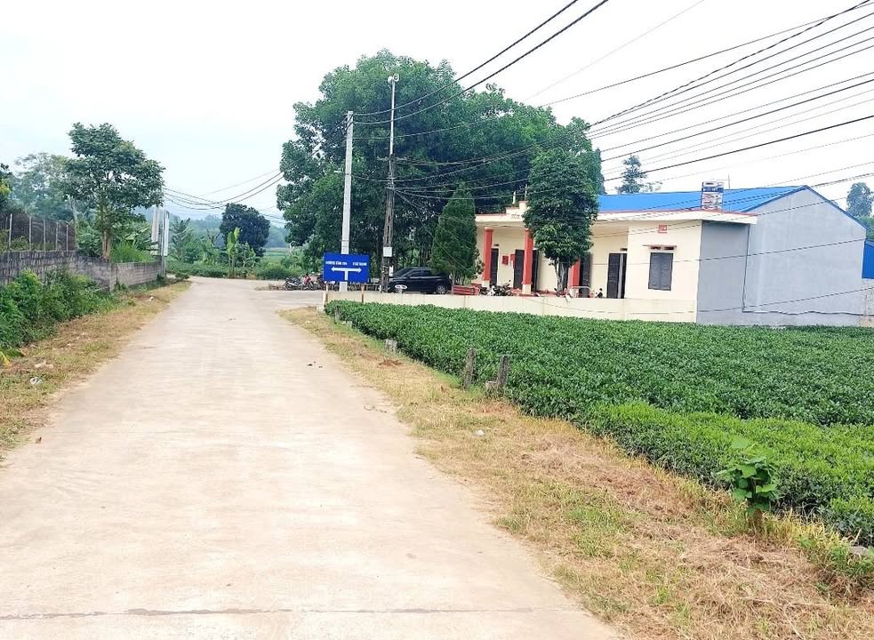 Đất thổ cư Phú Thịnh 123m² giá tốt - Nở hậu, mặt tiền rộng, view hồ đẹp!