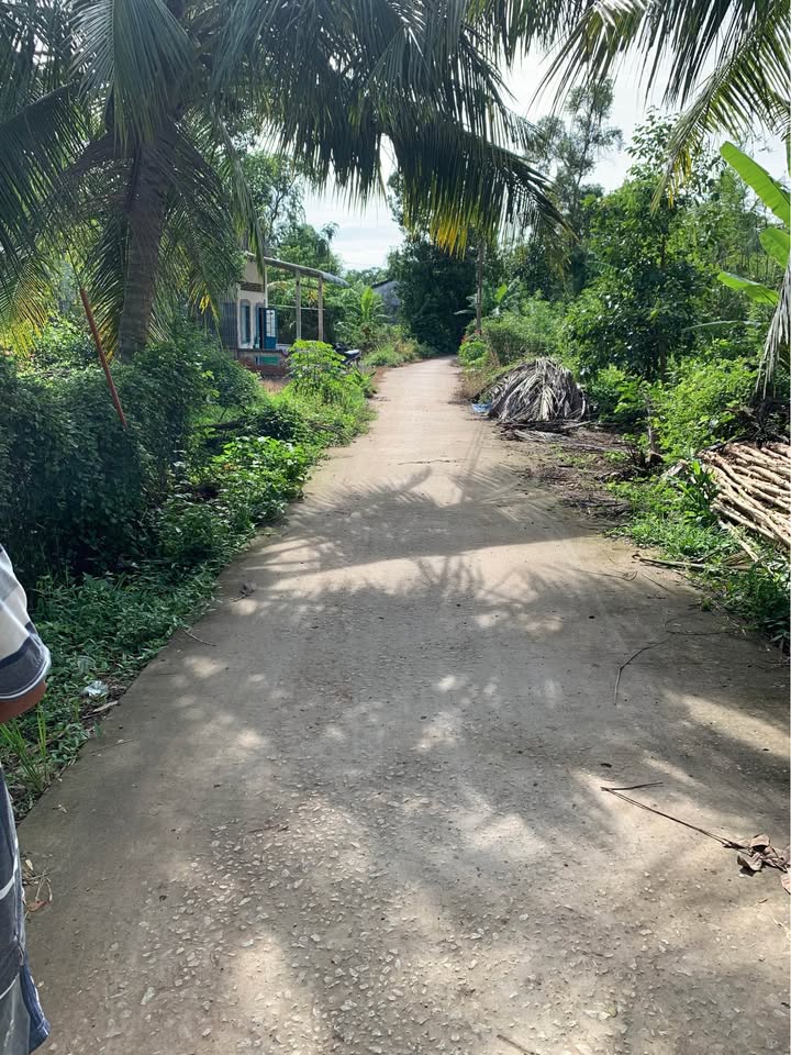 Đất mặt tiền Nhu Gia, Mỹ Xuyên 4760m² giá chỉ 1.224 tỷ - Đầu tư sinh lời ngay!