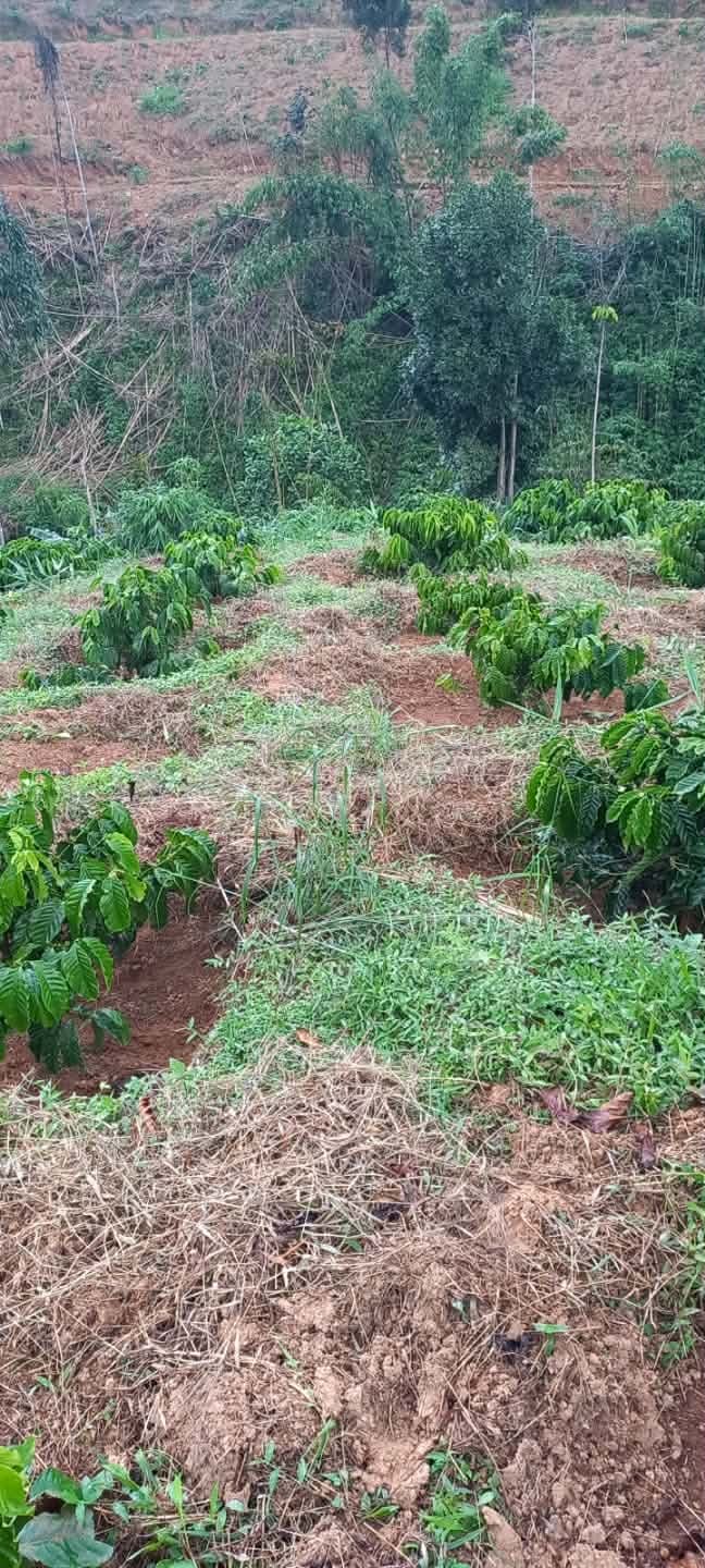 Đất thổ cư Quảng Khê 25200m² giá 800 triệu - Cơ hội đầu tư tuyệt vời!