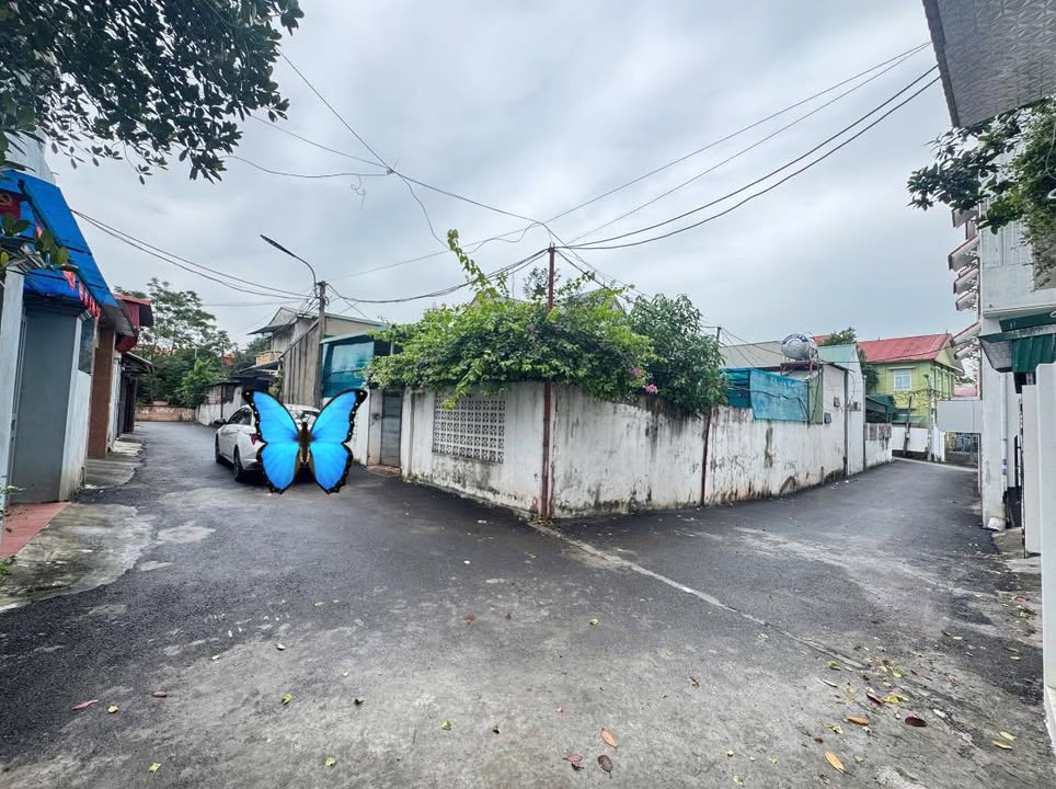 Nhà cấp 4 Đôn Hậu Vĩnh Yên 200m² giá 4 tỷ - Lô góc 2 mặt tiền