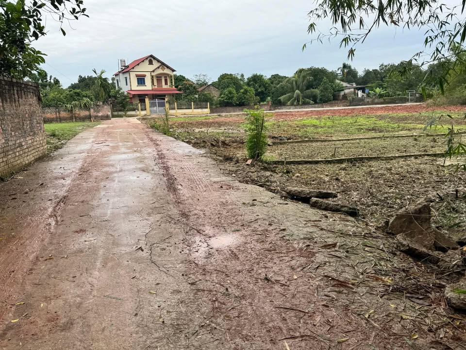 Đất nền Ngọc Châu, Tân Yên 200m² giá chỉ 600 triệu - Đường thông tiện lợi!