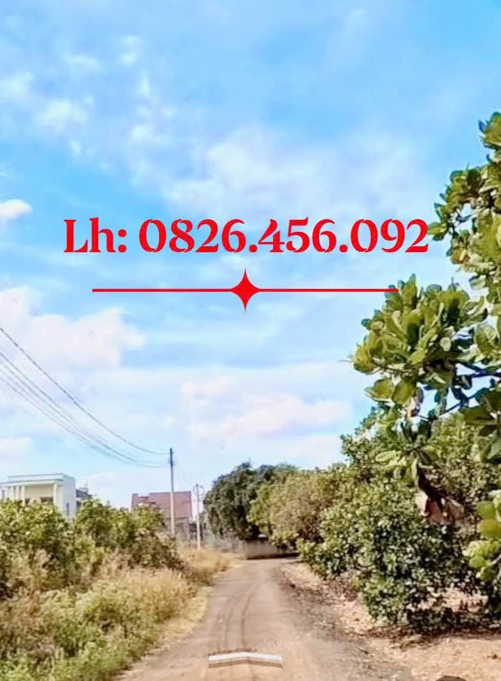 Đất nền Tân Bình, Đồng Xoài 420m² giá tốt - Đầu tư sinh lời ngay!