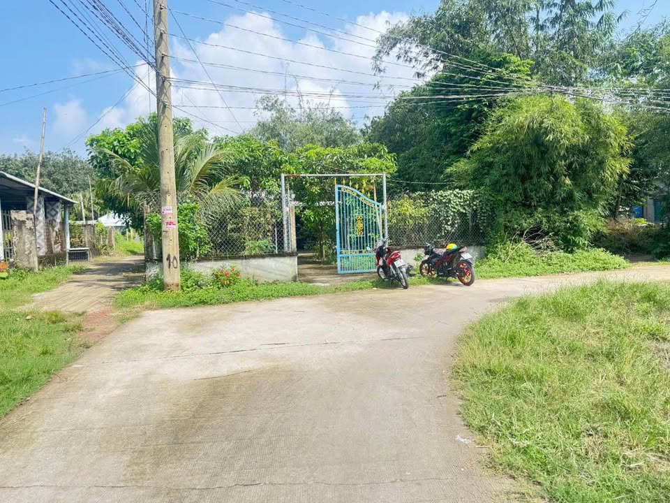 Nhà cấp 4 Lộc Giang 540m² giá 990 triệu - Cơ hội sở hữu ngay!