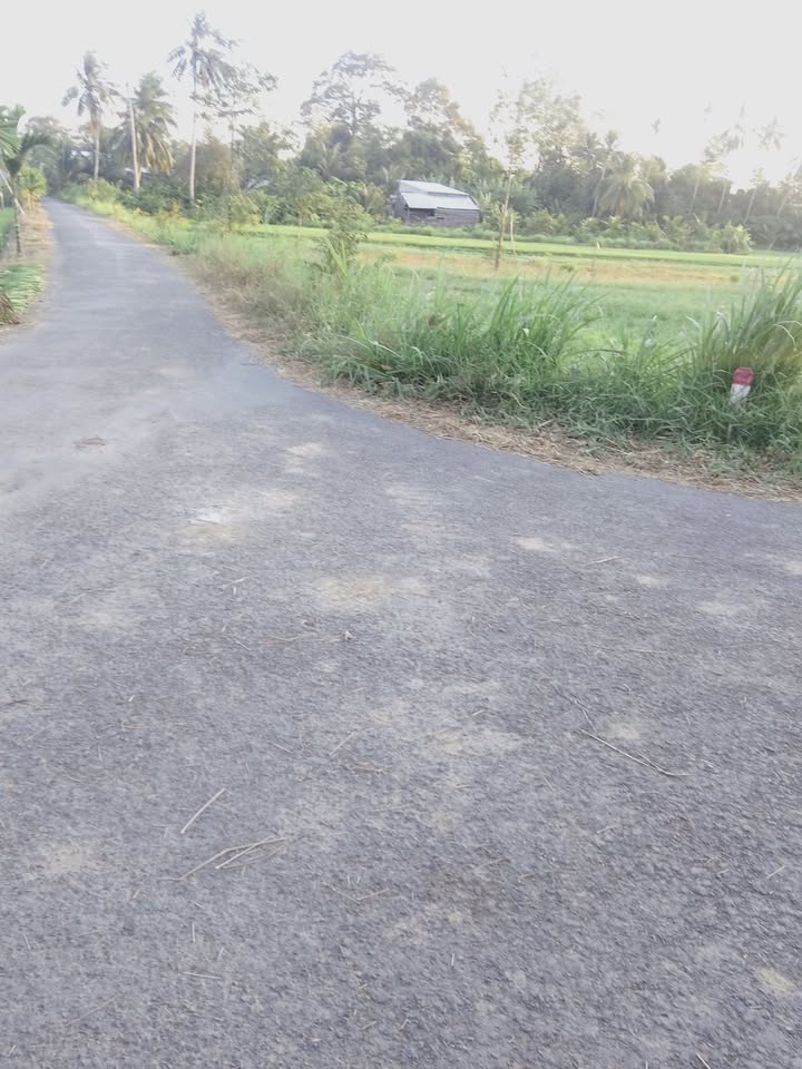 Đất mặt tiền nhựa Trà Cú 988m² giá 7.028 tỷ - Khu dân cư sầm uất!