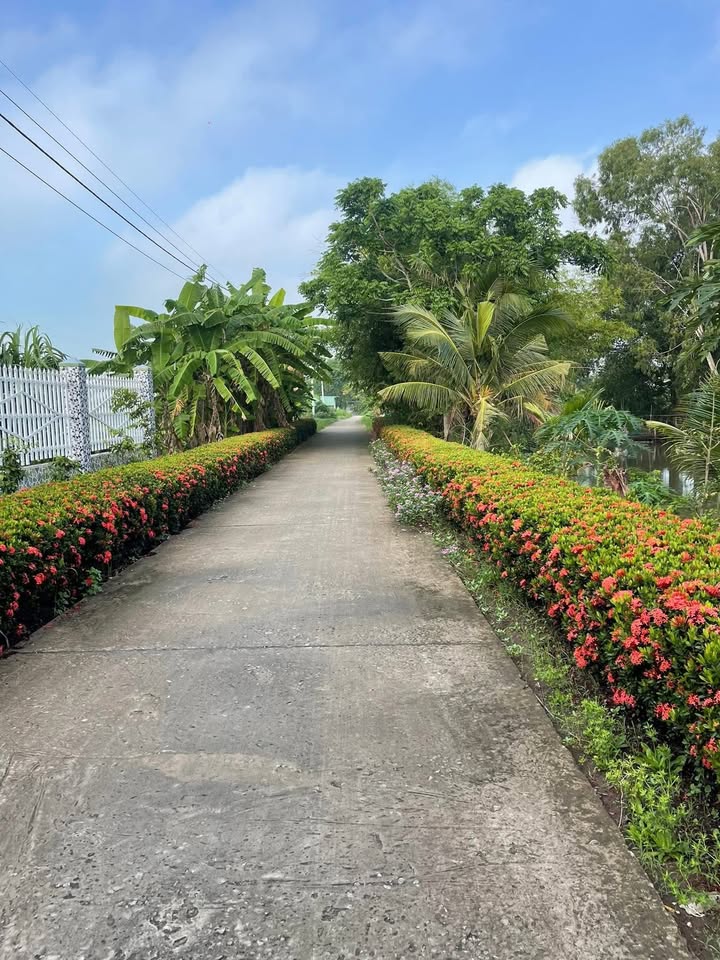 Đất nền Kênh 19/5 Tân Hiệp 4879.5m² giá chỉ 100 triệu - Cơ hội đầu tư tuyệt vời!