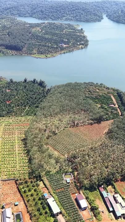 Đất Farm 3.7ha tại xã Hưng Bình, Đắk R'Lấp - Cơ hội đầu tư tuyệt vời!