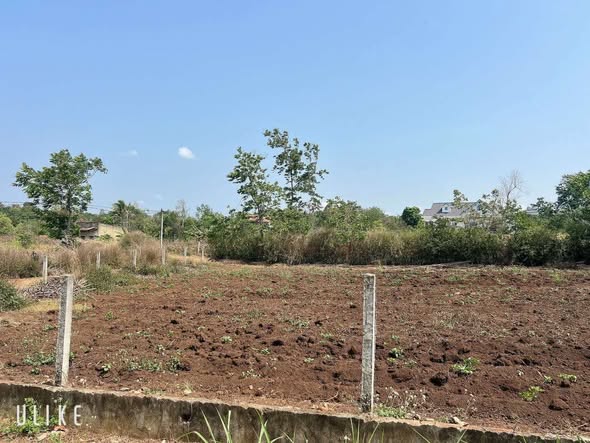 Đất nền 400m² Cư Kuin - 6 lô riêng biệt, giá chỉ 6.486 triệu!