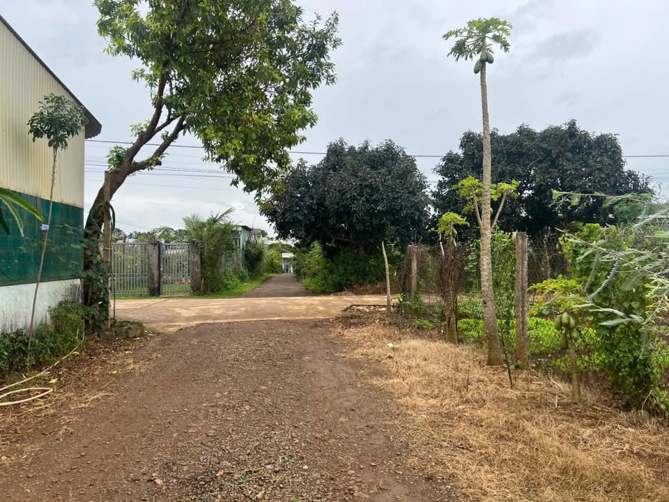 Đất hẻm xe hơi Nguyễn Tuân 152m² giá 700 triệu - Vị trí thuận lợi và yên tĩnh!