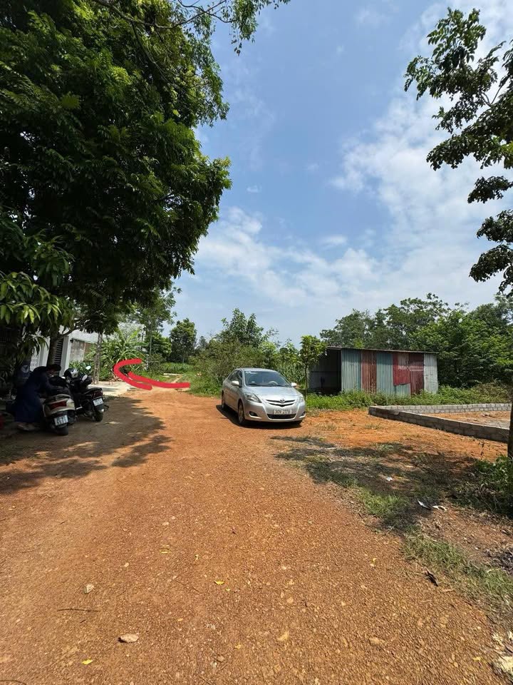 Đất thổ cư 125m² tại phường Tùng Thiện, Sơn Tây chỉ 1 tỷ - Đầu tư sinh lời ngay!