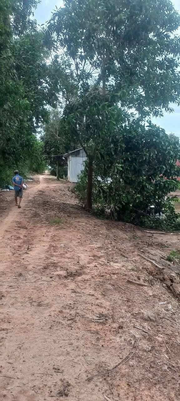 Đất nông nghiệp 17.000m² tại xã Thạnh An, huyện Thạnh Hóa, giá 140 triệu - Cơ hội đầu tư hấp dẫn!