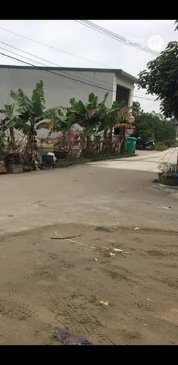 Đất nền Quảng Thịnh 125m² chỉ 1.3 tỷ - Cơ hội đầu tư hấp dẫn!