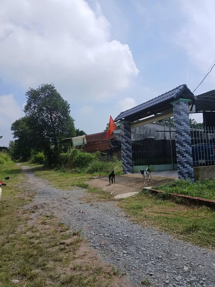 Đất nền Tân An Thủ Dầu Một 151m² giá 1.35 tỷ - Sổ hồng chính chủ