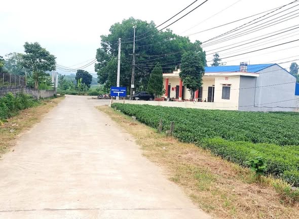 Đất nền đẹp tại xã Phú Thịnh, 123m² chỉ 300 triệu - Cơ hội đầu tư tuyệt vời!