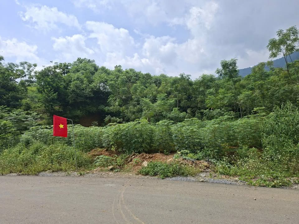 Đất nền Tiền Phong, Đà Bắc 760m² chỉ 400 triệu - Cơ hội đầu tư tuyệt vời!