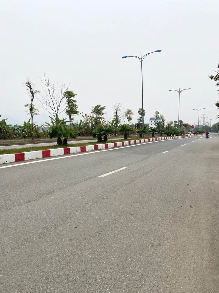 Đất nền liền kề Trần Quý Cáp, Tân Hòa, Hòa Bình 263m² - Giá rẻ nhất khu vực!