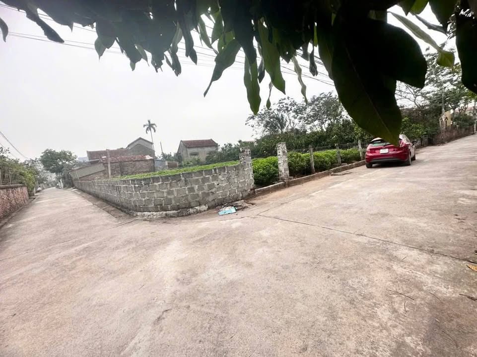 Đất nền Triệu Việt Vương 101.8m² giá 3.054 tỷ - Cơ hội đầu tư sinh lời cao!