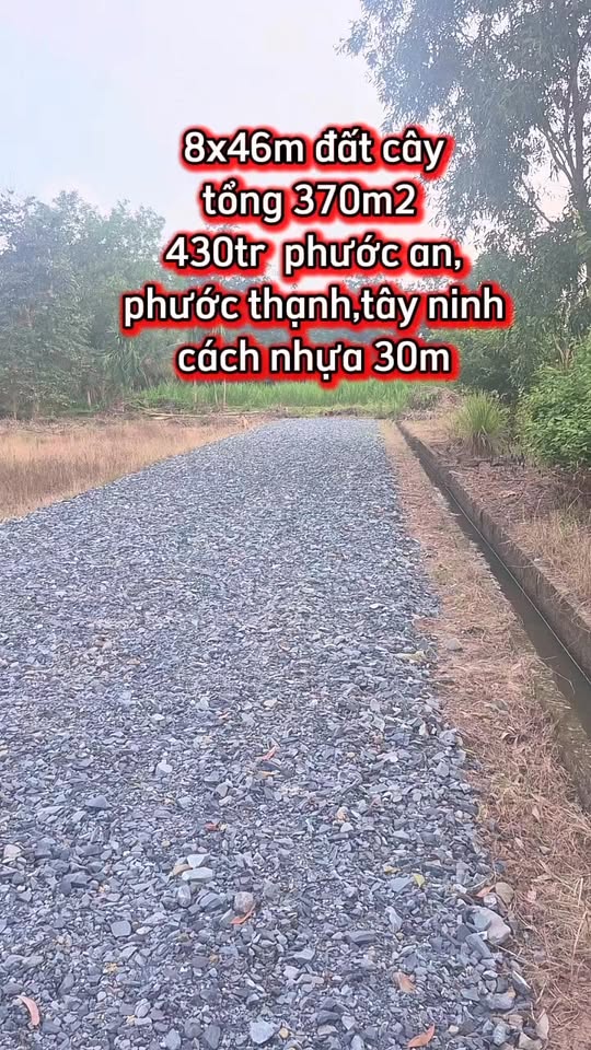 Đất nền Phước An Gò Dầu 370m² giá 430 triệu - Cơ hội đầu tư tiềm năng!