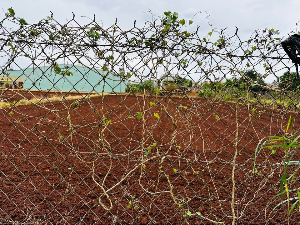 Bán đất hẻm 43 Nguyễn Tuân, phường An Phú, 250m² - Đầu tư thông minh!