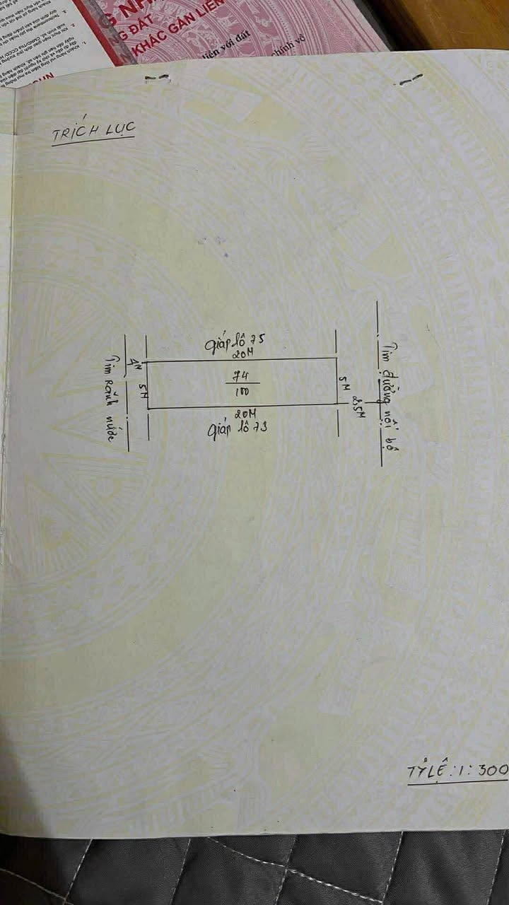Lô đất An Đồng, An Dương 100m² giá 2.xx tỷ - Vị trí đẹp, tiện ích đầy đủ!