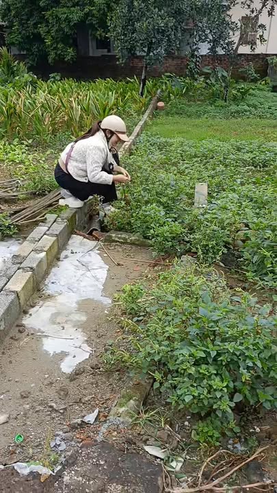 Đất nền Thượng Lâm Chương Mỹ 106m² giá chỉ 19 triệu - Đầu tư sinh lời ngay!