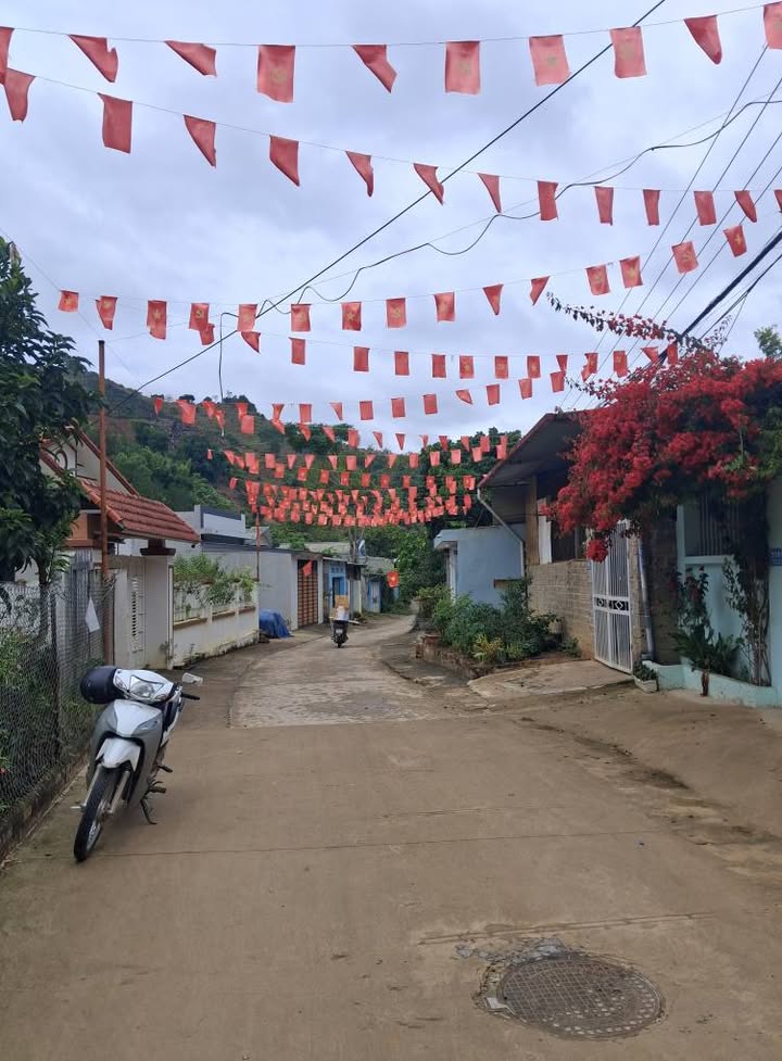 Đất vườn đường Nguyễn Trãi 125m² giá chỉ 3xx triệu - Đầu tư tiềm năng!