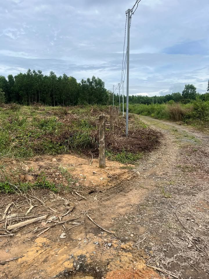 Đất nền Xuân Lộc 60m² giá 900 triệu - Đường xe tải vào tận nơi!