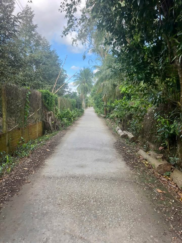 Đất ở Cái Nhum, Mang Thít 1458m² giá 1.35 tỷ - Gần chợ và tiện ích