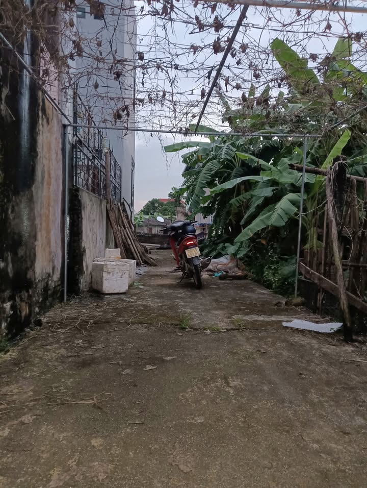 Đất nền Thư Phú, Thường Tín 60,1m² giá 2,79 tỷ - Đầu tư sinh lời hiệu quả!