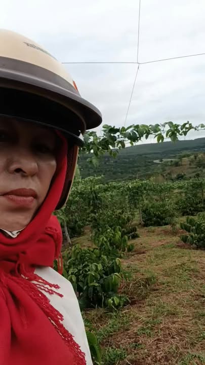 Lô rẫy đẹp 7.020m² tại Ea H'leo, Đắk Lắk - Giá chỉ 3 tỷ