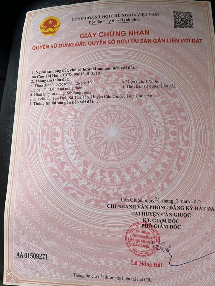 Đất nền 175m² đường nhựa ĐH Đông Thạnh, xã Tân Tập, Cần Giuộc - Giá chỉ 1.1 tỷ!