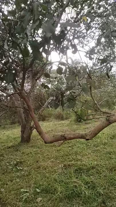 Đất đẹp 6.4 sào tại Đồng Nai, giá chỉ 450 triệu - Cơ hội đầu tư hấp dẫn!